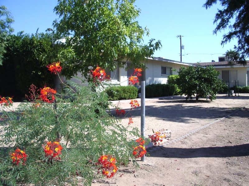 2241 N 29th St, Phoenix, AZ 85008