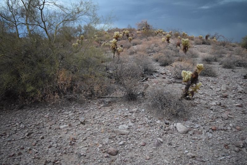 22410 E Boot Hill Pw #3, Fort Mcdowell, AZ 85264