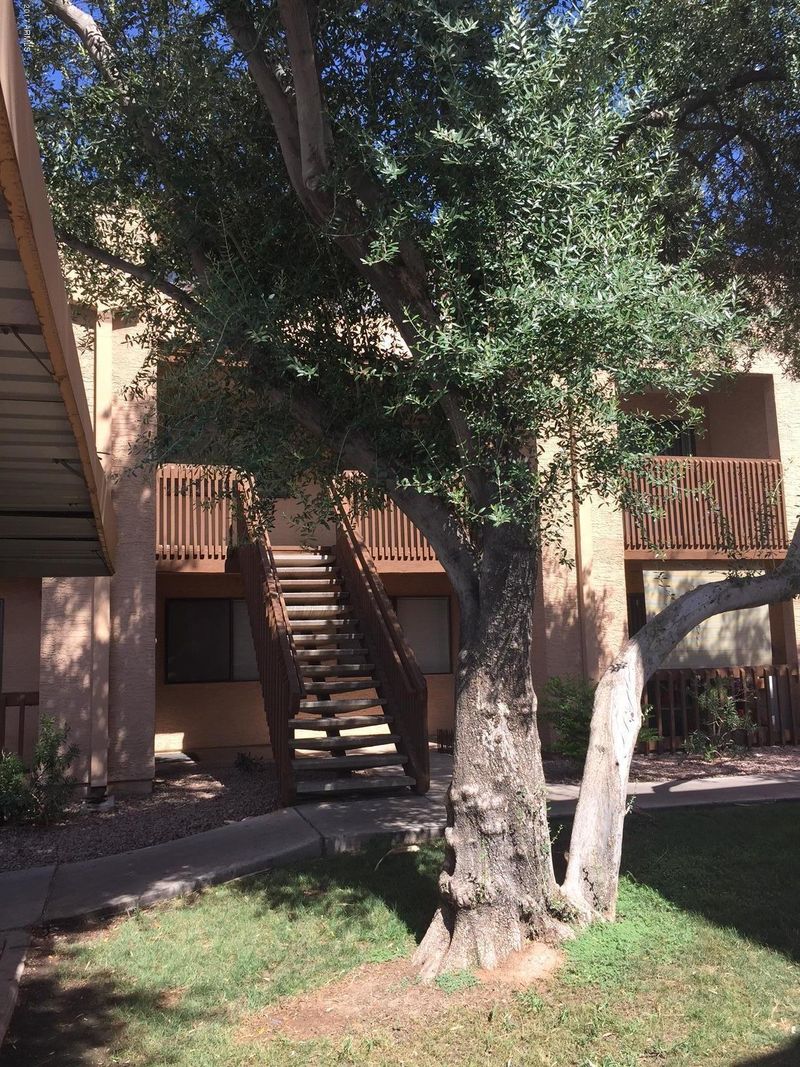 225 N Gilbert Rd #226, Mesa, AZ 85203