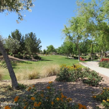 225 Reeves Ave, Queen Creek, AZ 85140