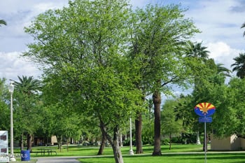 2254 15th Ave, Phoenix, AZ 85007