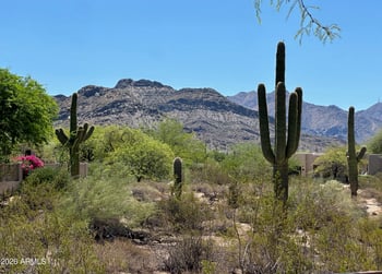 22667 92nd St, Scottsdale, AZ 85255
