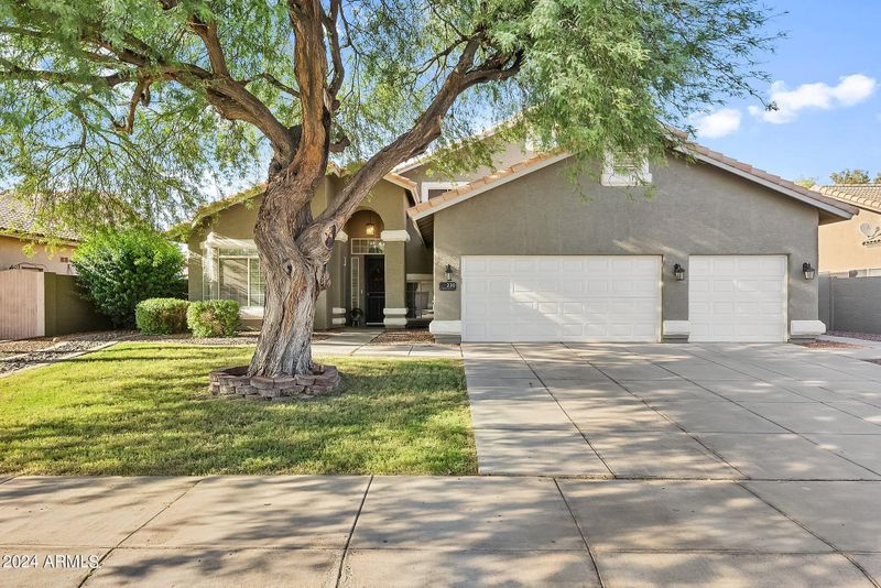 230 E Appaloosa Ct, Gilbert, AZ 85296