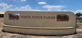 23030 Passeo Way #1,2, Buckeye, AZ 85326