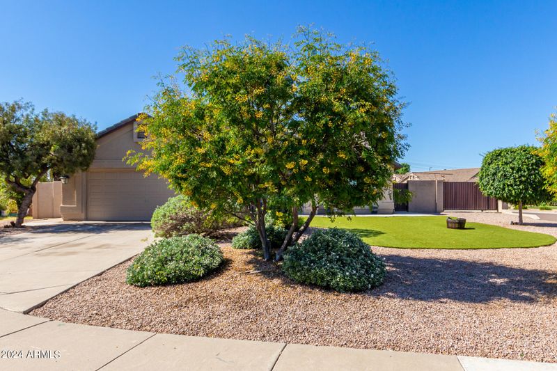 2305 E Cortez Dr, Gilbert, AZ 85234