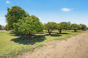 2320 Harrison St, Chandler, AZ 85224