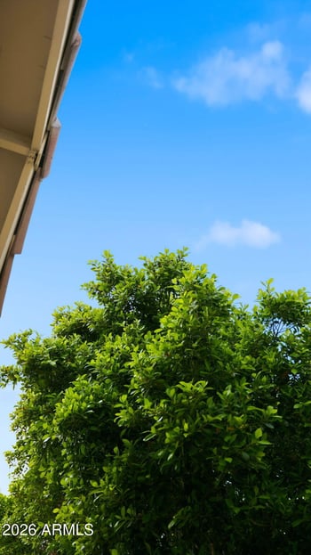 2322 Rogers -- #9, Mesa, AZ 85202