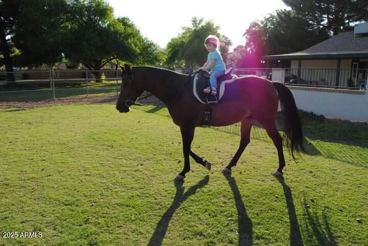 2323 Harrison St, Chandler, AZ 85224