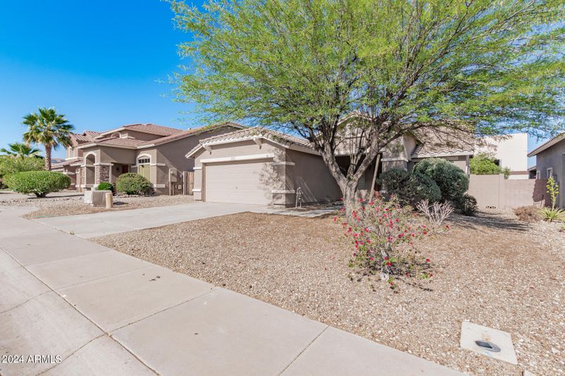 2347 S 257th Dr, Buckeye, AZ 85326