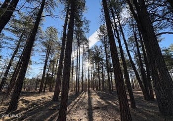 2360 Narrow Leaf Ln, Show Low, AZ 85901