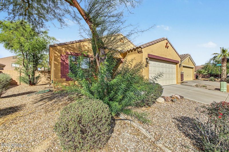 23742 W Hidalgo Ave, Buckeye, AZ 85326