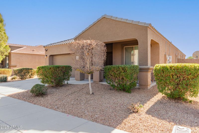 23805 W Levi Dr, Buckeye, AZ 85326