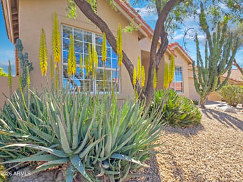 23831 74th St, Scottsdale, AZ 85255