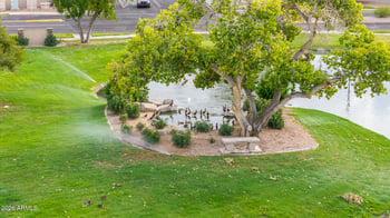 2392 W Rockrose Way, Chandler, AZ 85248