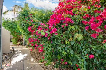 240 Gail Ct, Gilbert, AZ 85296