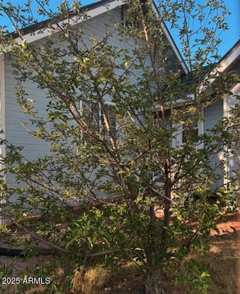 2404 Palmer Dr, Payson, AZ 85541