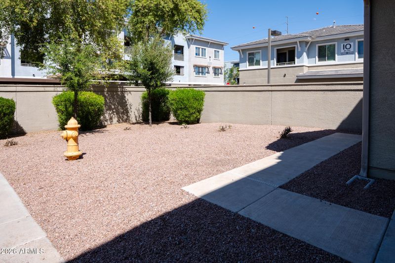 241 E Roadrunner Dr, Chandler, AZ 85286