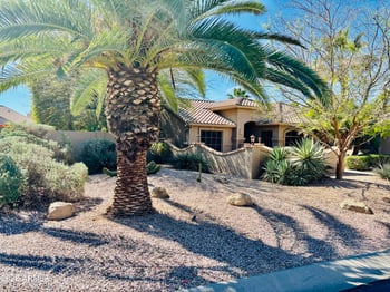 24126 Lakeway Cir, Sun Lakes, AZ 85248