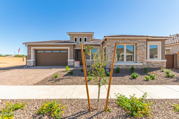 24199 172nd Dr, Surprise, AZ 85387