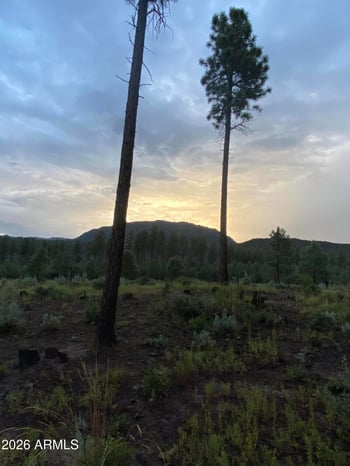 243 Wild Oak Dr #-, Payson, AZ 85541