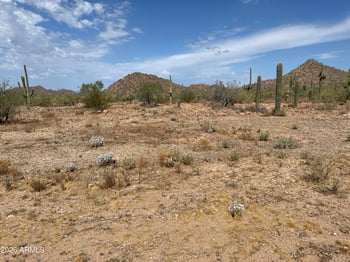 2440 113th St -- #--, Mesa, AZ 85207