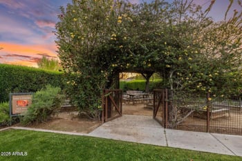 24404 73rd St, Scottsdale, AZ 85255