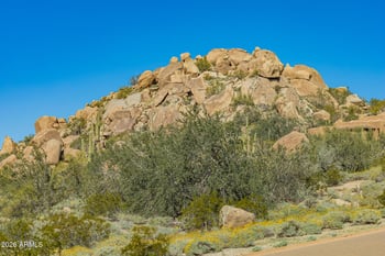 24655 109th Pl, Scottsdale, AZ 85255