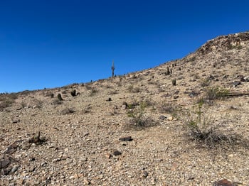 2473 Glenhaven Dr #9, Phoenix, AZ 85048