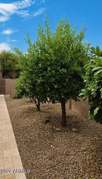 24764 117th St, Scottsdale, AZ 85255