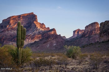 2489 357th Dr, Tonopah, AZ 85354