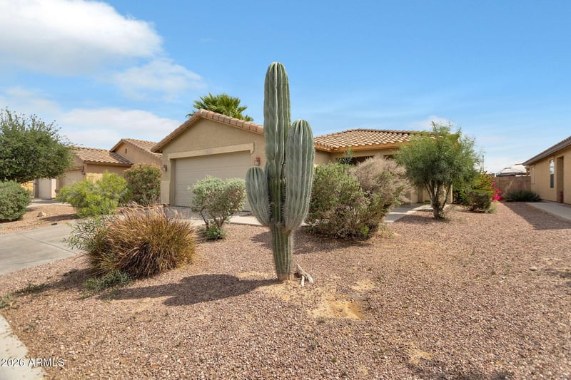24911 Dove Mesa Dr, Buckeye, AZ 85326