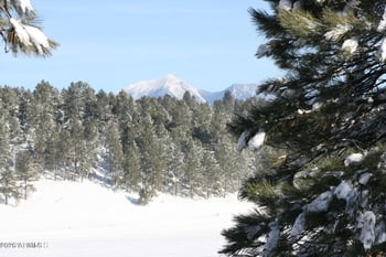 2495 Mesa Trl, Flagstaff, AZ 86005