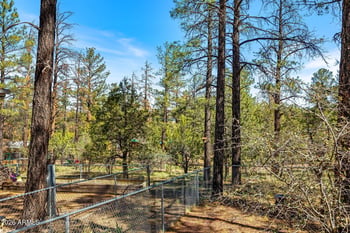 2500 Savage --, Show Low, AZ 85901