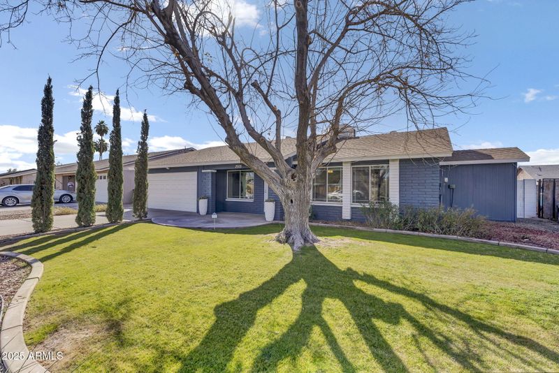 2505 E Hampton Ave, Mesa, AZ 85204