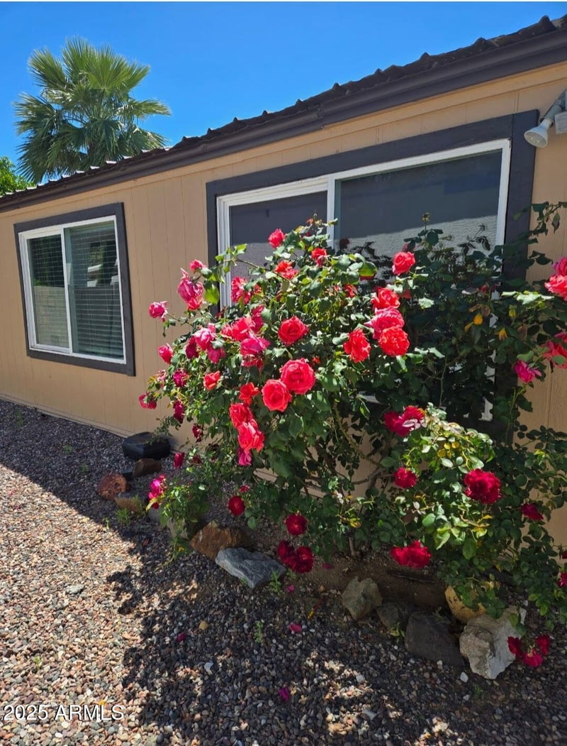 2511 56th St, Mesa, AZ 85215