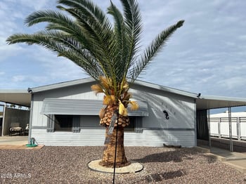 2516 56th St, Mesa, AZ 85215