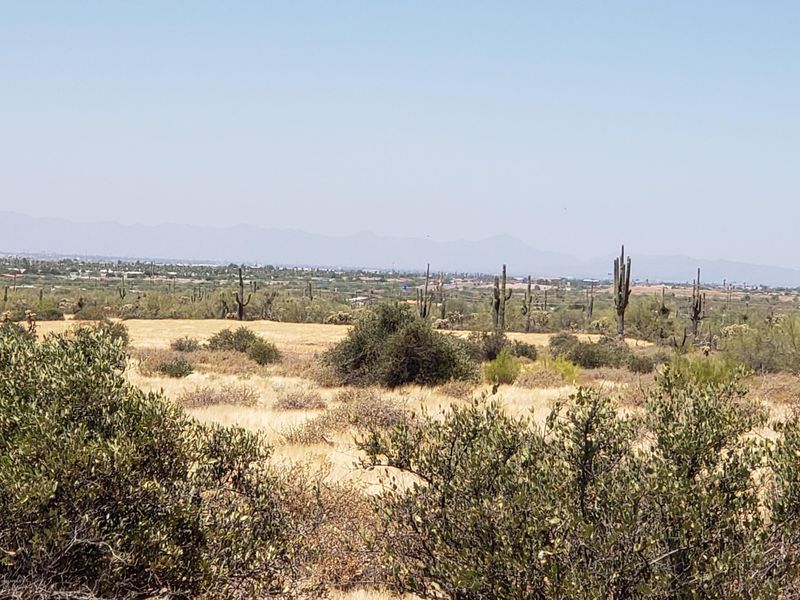 2519 S Baker Dr, Apache Junction, AZ 85119