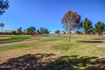 25236 S Flame Tree Dr, Sun Lakes, AZ 85248