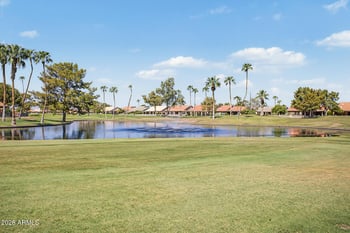 25236 S Flame Tree Dr, Sun Lakes, AZ 85248