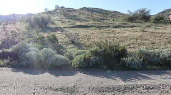 2524 El Paradiso Ln #-, Laveen, AZ 85339