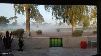 25244 Saddletree Dr, Sun Lakes, AZ 85248