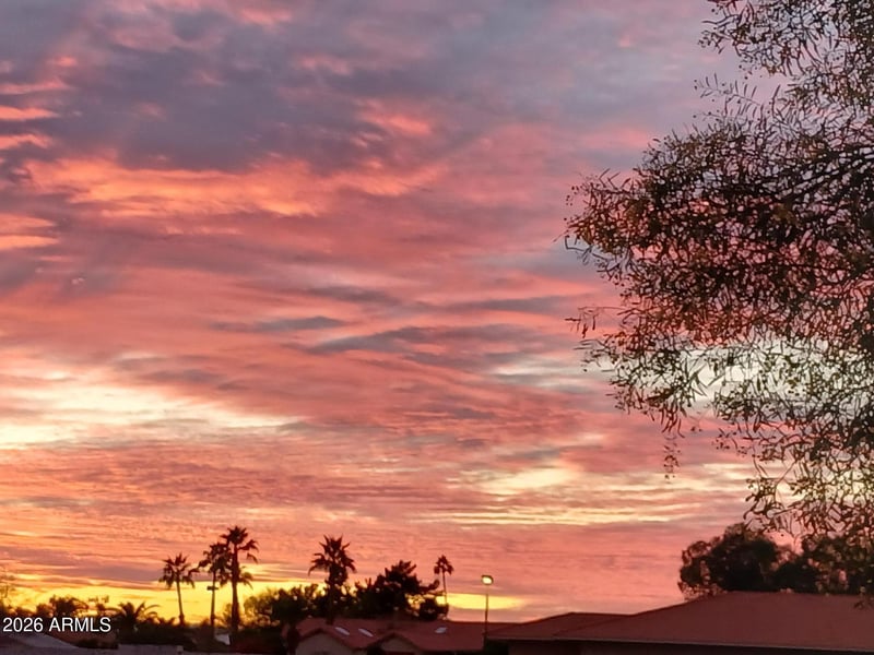 25246 Pinewood Dr, Sun Lakes, AZ 85248