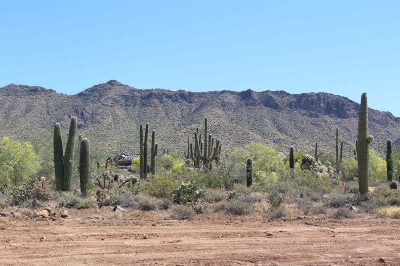 2530 N 112th Pl, Mesa, AZ 85207