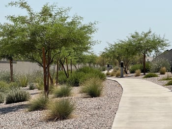 2534 Chanute Ps, Phoenix, AZ 85041