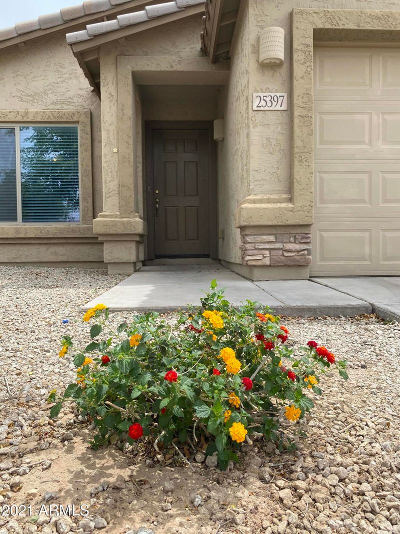 25397 W Jackson Ave, Buckeye, AZ 85326