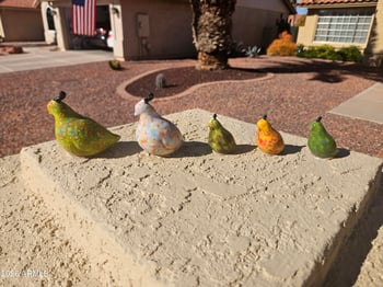 25426 Spring Creek Rd, Sun Lakes, AZ 85248