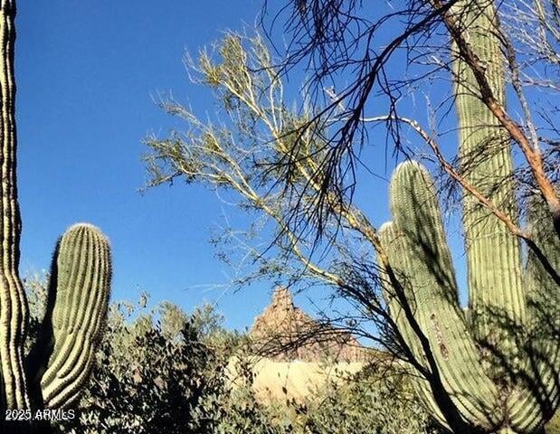 25555 Windy Walk Dr #1, Scottsdale, AZ 85255