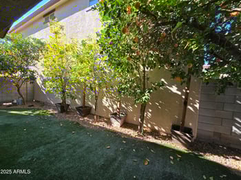 256 Scott Dr, Chandler, AZ 85225