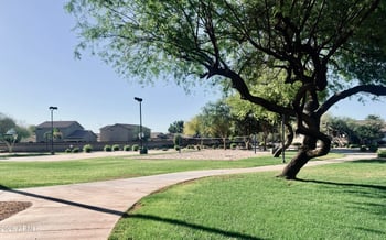 2562 Riviera Dr, Chandler, AZ 85249