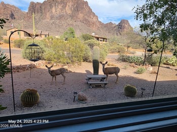 2564 N Charlebois Rd, Apache Junction, AZ 85119